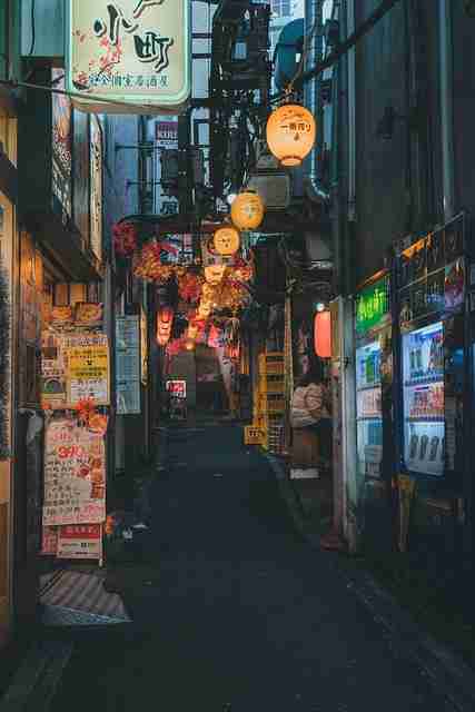 【蘑菇视频ios】精编体验升级首发 - 硬核干货，蘑菇视频1.20